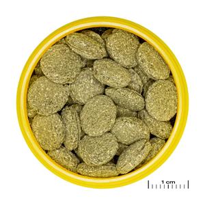 jb313360-alimentation-pour-poisson-jbl-pronovo-pleco-wafer-m-vert