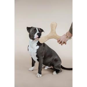 product/k/e/kentucky-dogwear_52503-32_0.jpg