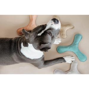product/k/e/kentucky-dogwear_52503-71_2.jpg