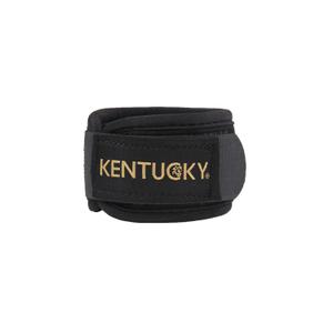 product/k/e/kentucky_42201-01_1.jpg