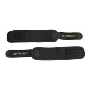 product/k/e/kentucky_42201-01_2.jpg