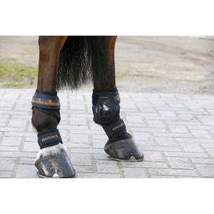 product/k/e/kentucky_42201-01_3.jpg
