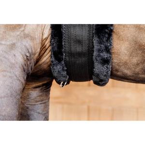 product/k/e/kentucky_42401-11-135_4.jpg