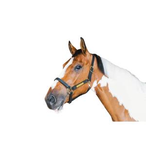 42507-01-f-licol-pour-cheval-en-cuir-kentucky-wellington-noir-full