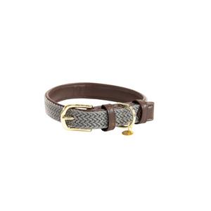 42517-08-collier-pour-chien-en-nylon-tresse-kentucky-gris