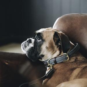product/k/e/kentucky_42517-08-35_gris_4.jpg