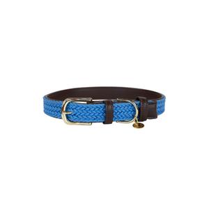 42517-61-collier-pour-chien-en-nylon-tresse-kentucky-bleu