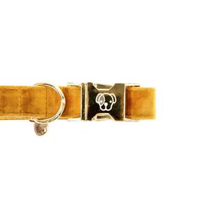 product/k/e/kentucky_42538-44-l_mustard_2.jpg