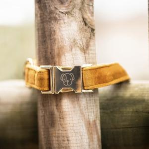 product/k/e/kentucky_42538-44-l_mustard_3.jpg