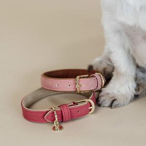 product/k/e/kentucky_42559-13-l_rouge-beige_2.jpg