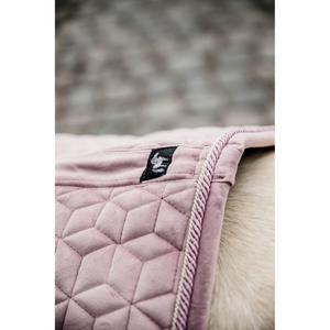 product/k/e/kentucky_42579-10-sj-cob_0.jpg
