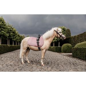 product/k/e/kentucky_42579-10-sj-cob_1.jpg