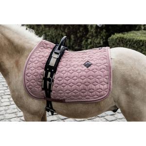 product/k/e/kentucky_42579-10-sj-cob_2.jpg