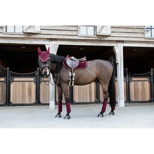 product/k/e/kentucky_42579-17-sj-cob_0.jpg