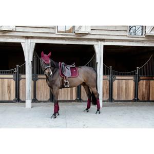 product/k/e/kentucky_42579-17_5.jpg