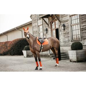 42579-45-p-tapis-de-selle-pour-cheval-kentucky-orange-poney