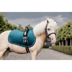 product/k/e/kentucky_42579-71-sj-cob_3.jpg