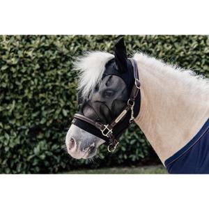 product/k/e/kentucky_42604-01-p_2.jpg