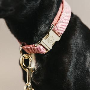 product/k/e/kentucky_42632-10-l_rose_3.jpg