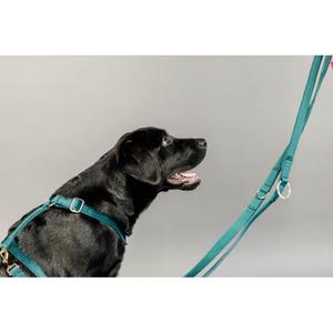 product/k/e/kentucky_42642-71-2_9.jpg
