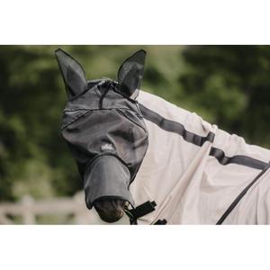 product/k/e/kentucky_42644-01-cob_9.jpg