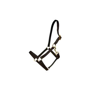 42675-01-c-licol-pour-cheval-nylon-kentucky-noir
