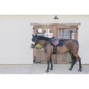 product/k/e/kentucky_42721-01-sj_black-black_2.jpg