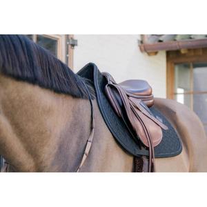 product/k/e/kentucky_42721-01-sj_black-black_4.jpg