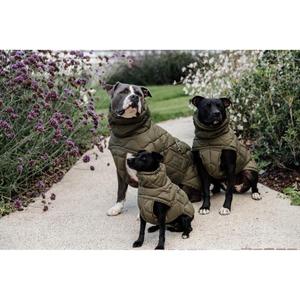 product/k/e/kentucky_52188-74-xxl_1.jpg