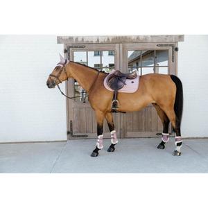 product/k/e/kentucky_88106-10-s_4.jpg
