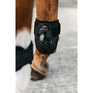 product/k/e/kentucky_88201-01-xs_1.jpg