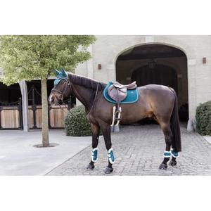 product/k/e/kentucky_88205-71-_4.jpg