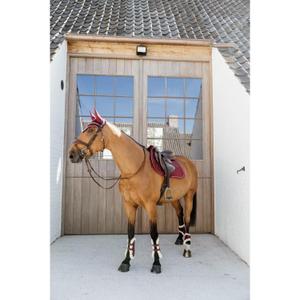 product/k/e/kentucky_88210-17-s_3.jpg
