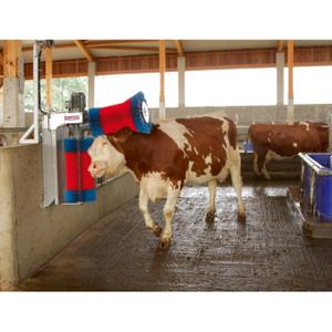 18709-arceau-anti-rebond-zingue-kerbl-happycow-rouge-bleu-tu