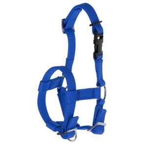 27183-licol-pour-alpaga-kerbl-bleu-tu
