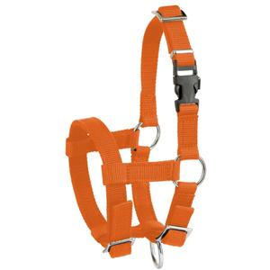 27190-licol-pour-alpaga-kerbl-orange-tu