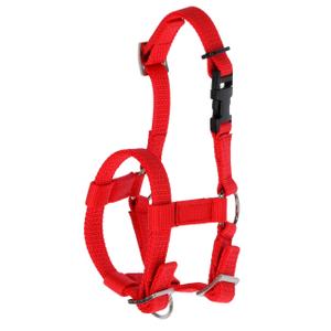27197-licol-reglable-pour-alpaga-kerbl-rouge-tu