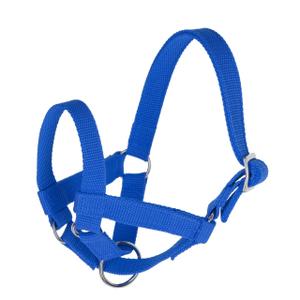 27198-licol-pour-lama-kerbl-bleu-tu