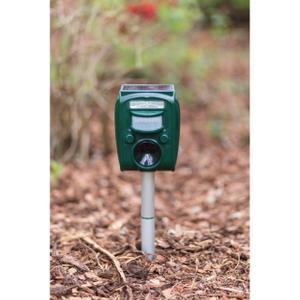 product/k/e/kerbl_299906_noir-vert_6.jpg