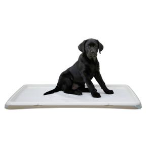 80543-toilettes-pour-chiots-kerbl-creme-60x90-cm