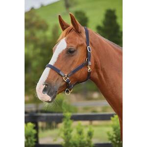 1003613007-licol-pour-cheval-en-cuir-tresse-kincade-kincade-navy