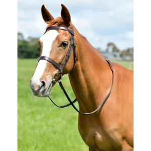 1025203004-bridon-de-chasse-avec-renes-kincade-classic-brown
