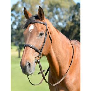1025204005-cavecon-pour-cheval-avec-renes-kincade-classic-brown