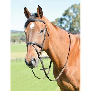 1025215005-bridon-equitation-pour-cheval-avec-renes-kincade-classic-brown