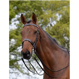 228351-bridon-equitation-pour-cheval-kincade-weymouth-ii-black