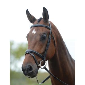 228373-bridon-equitation-pour-cheval-kincade-flash-black