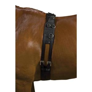 562094-longe-equitation-kincade-deluxe-black