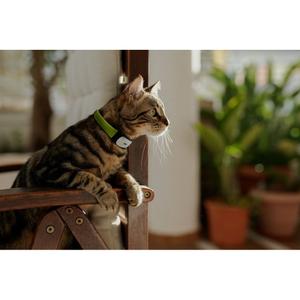 product/k/i/kippy_cy0535_1.jpg