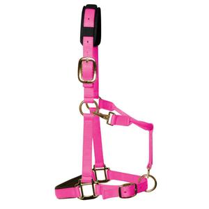 hhpc-licol-pour-cheval-luxueux-nylon-km-elite-warm-pink