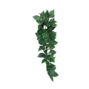 ko46201-abri-pour-reptiles-komodo-sumatra-hanging-vine-vert